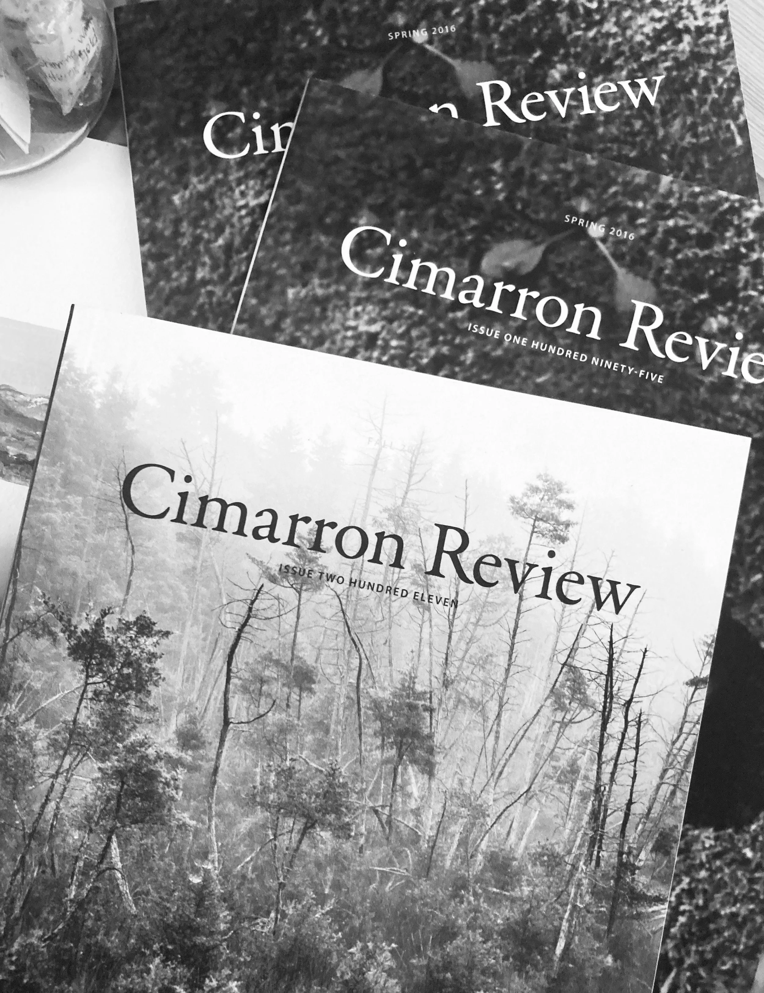 From a Poem Published in Cimarron Review