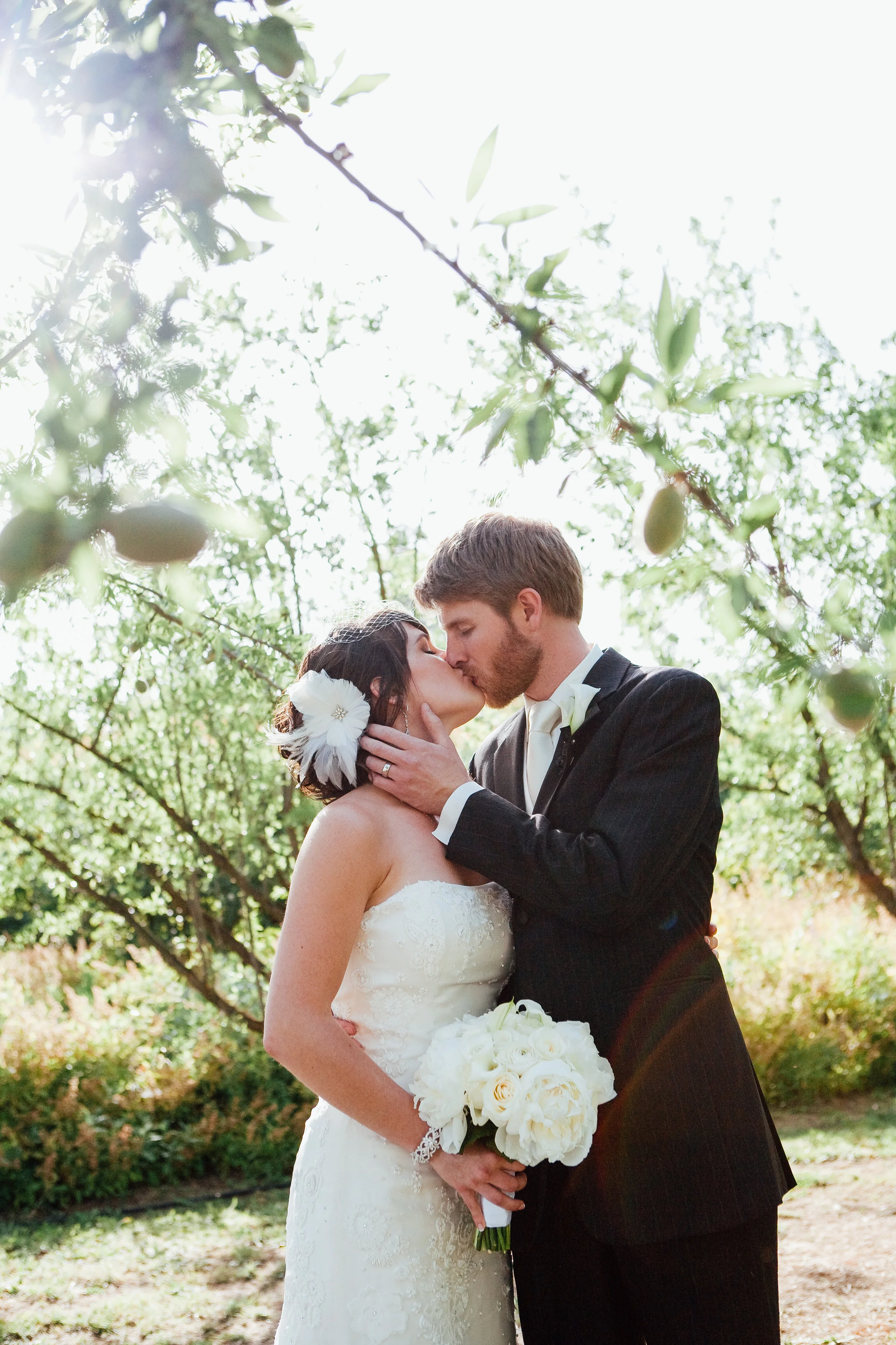 bear_flag_farm_photographer-4.jpg