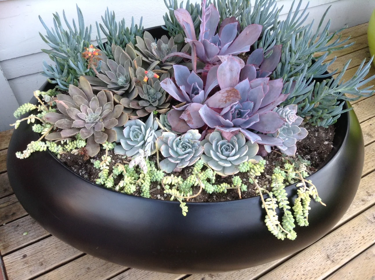 F40 Matte Black Fiberglass Pebble Planter - Copy.jpg