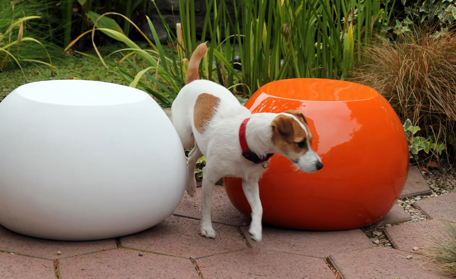 White&Orange Fiberglass F20.jpg