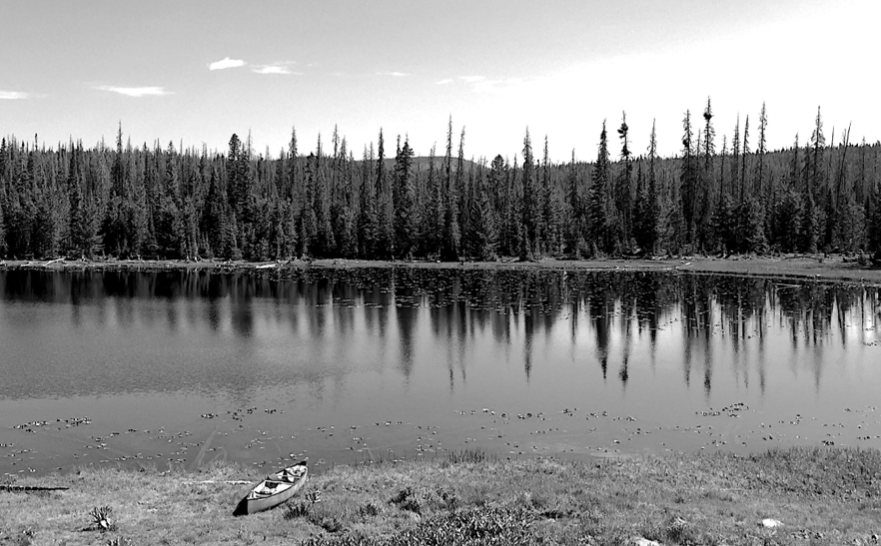 TheBee_TheGreatOutdoors.png