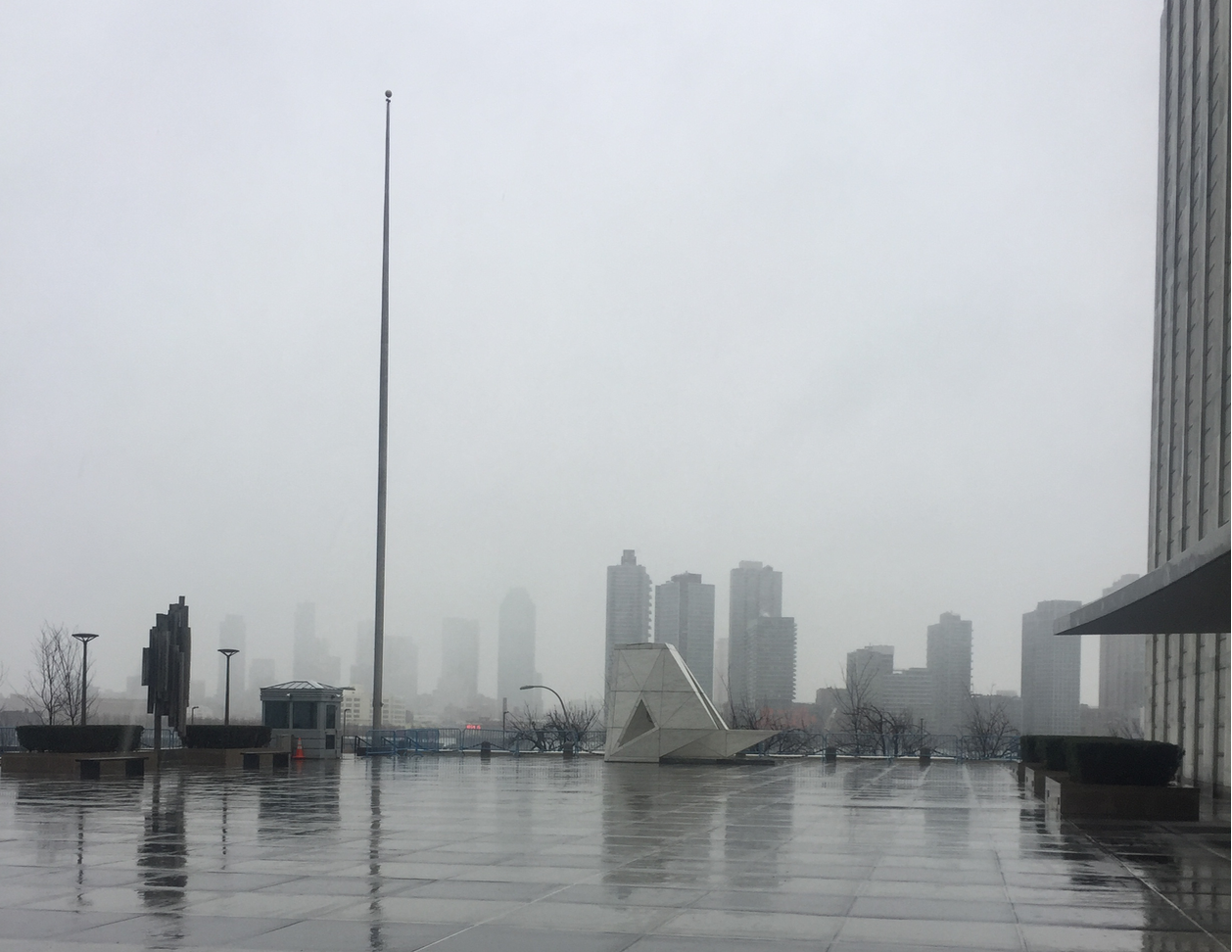It was a cold, rainy day outside the UN headquarters in NYC on March 2nd, the day of the UN World Wildlife Day event.