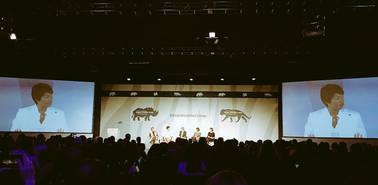 We need more women involved in conservation because “women have a way of doing things” - Beautiful empowering speech from the First Lady of Sierra Leone.