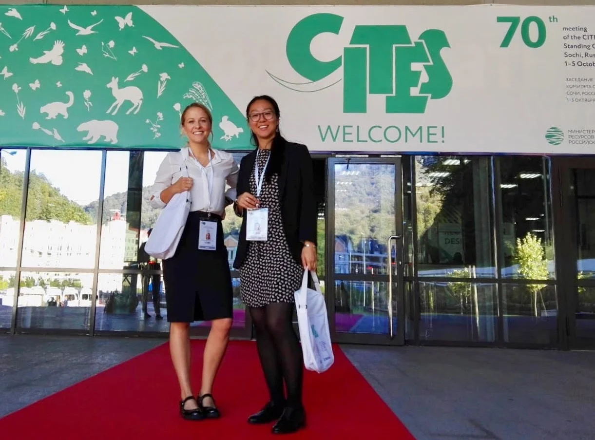 cites day 1 sc70.jpg