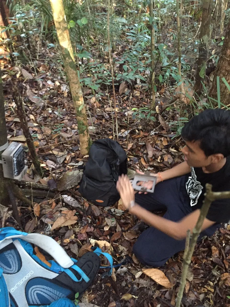 This picture was taken during my final degree year, working on my final year project in Sarawak using camera traps and scent lure as bait.