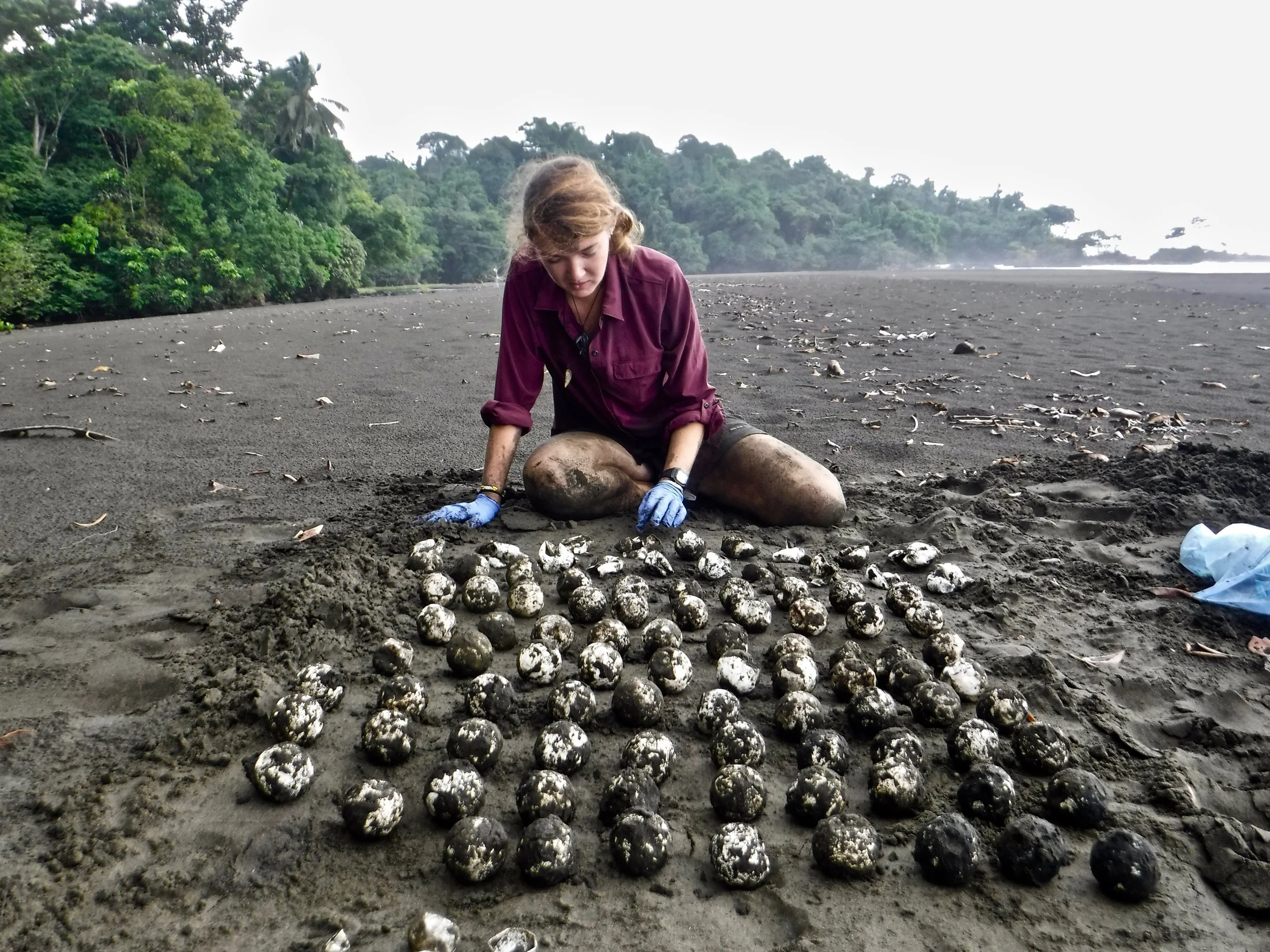 Leatherback Nest Excavation Training in Africa