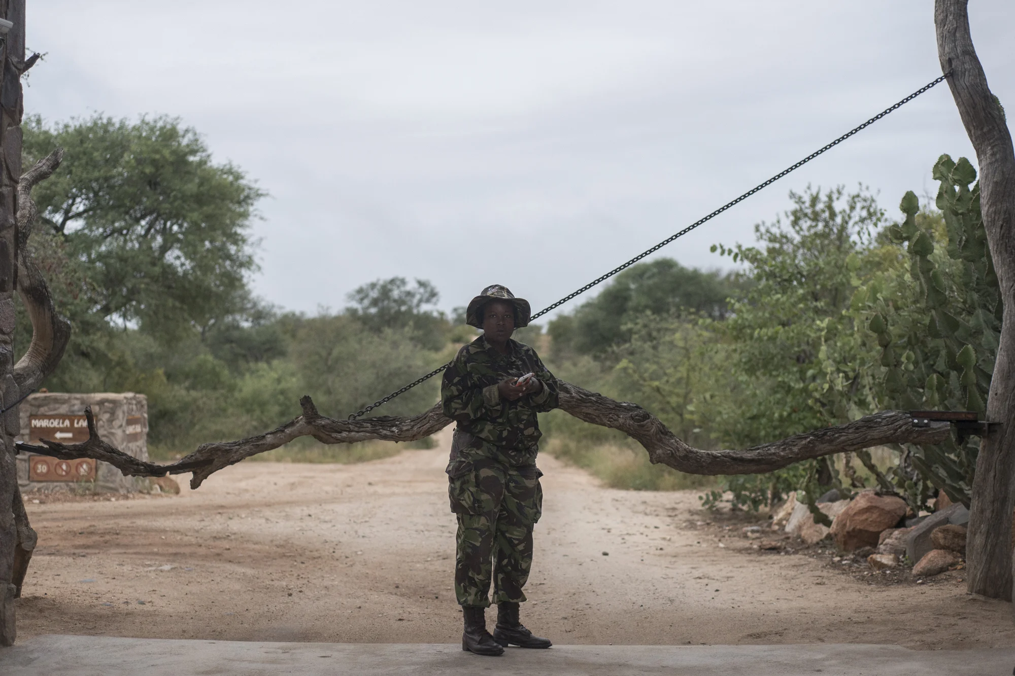 2017. Black Mambas. Balule Reserve, South Africa www.thebigproject.life/felicia-balule-reserve-south-africa
