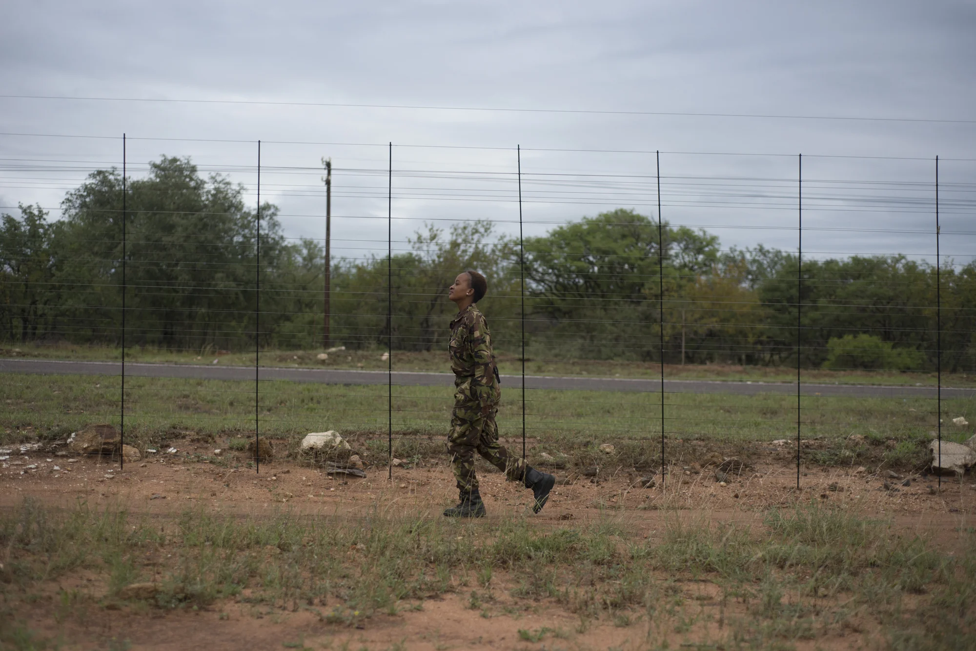 2017. Black Mambas. Balule Reserve, South Africa www.thebigproject.life/felicia-balule-reserve-south-africa