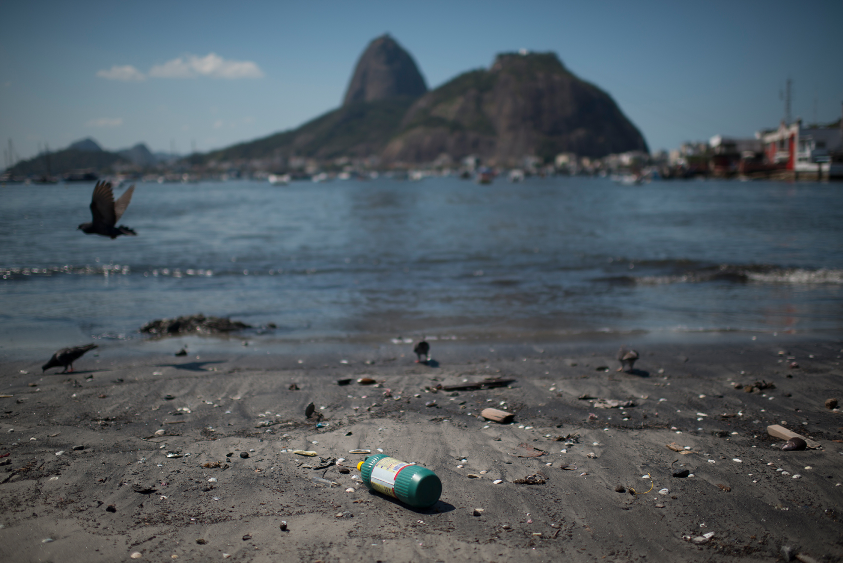  Guanabara Bay is one of the most important icons of Rio de Janeiro, Brazil. It was over these waters that European ships sailed on, some 515 years ago. The bay is home to many marine species, including the endangered Boto Cinza, but nowadays, pollut