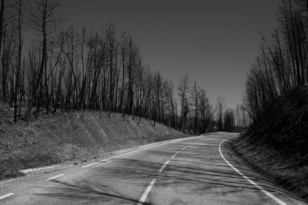 01_LANDAU_BIG_PORTUGAL_PB_5X7_1200px.jpg