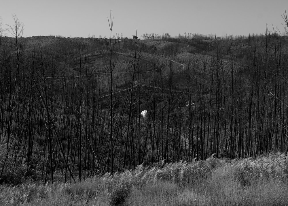 23_LANDAU_BIG_PORTUGAL_PB_5X7_1200px.jpg