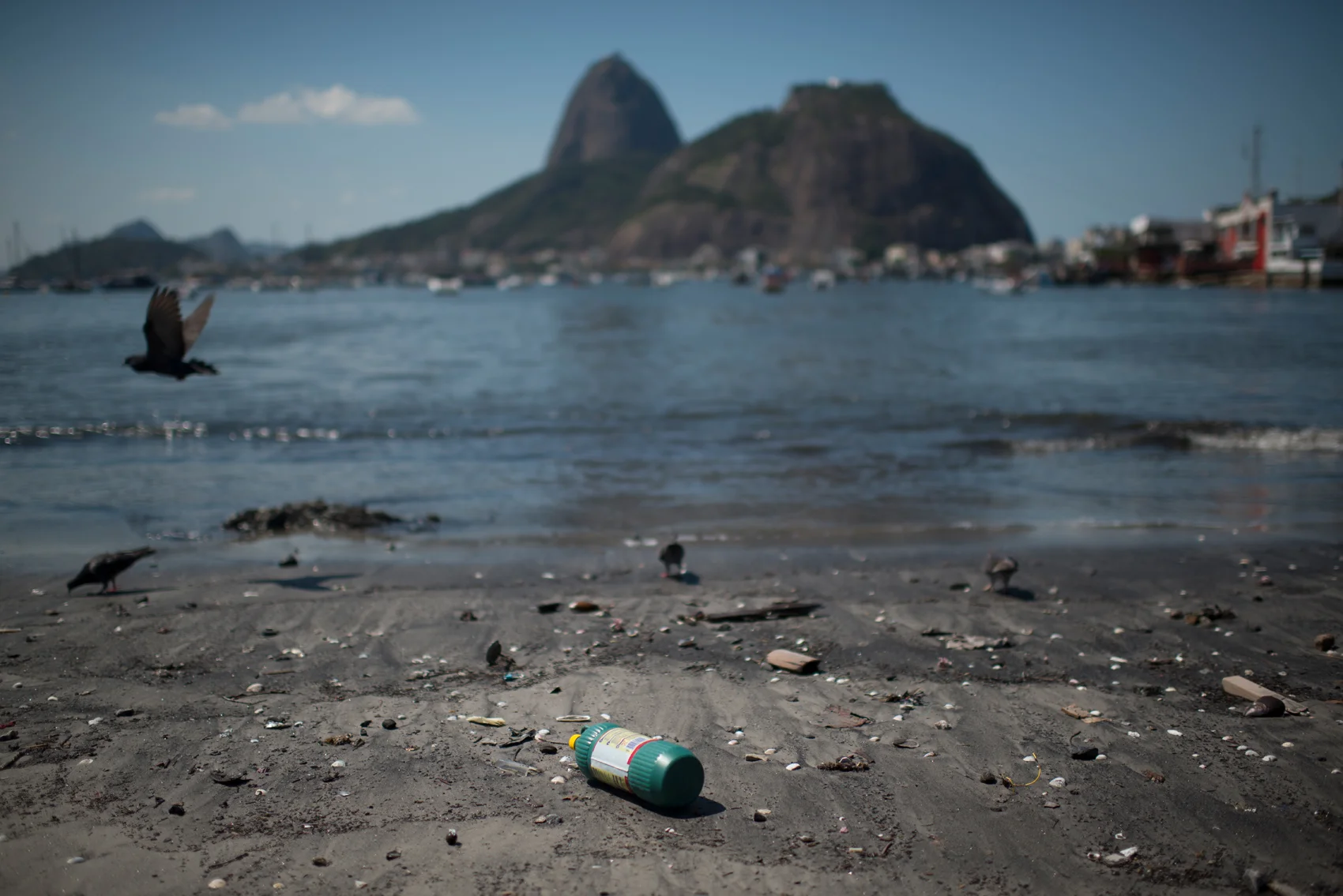  © 2017    Voltar para   RIO  . 