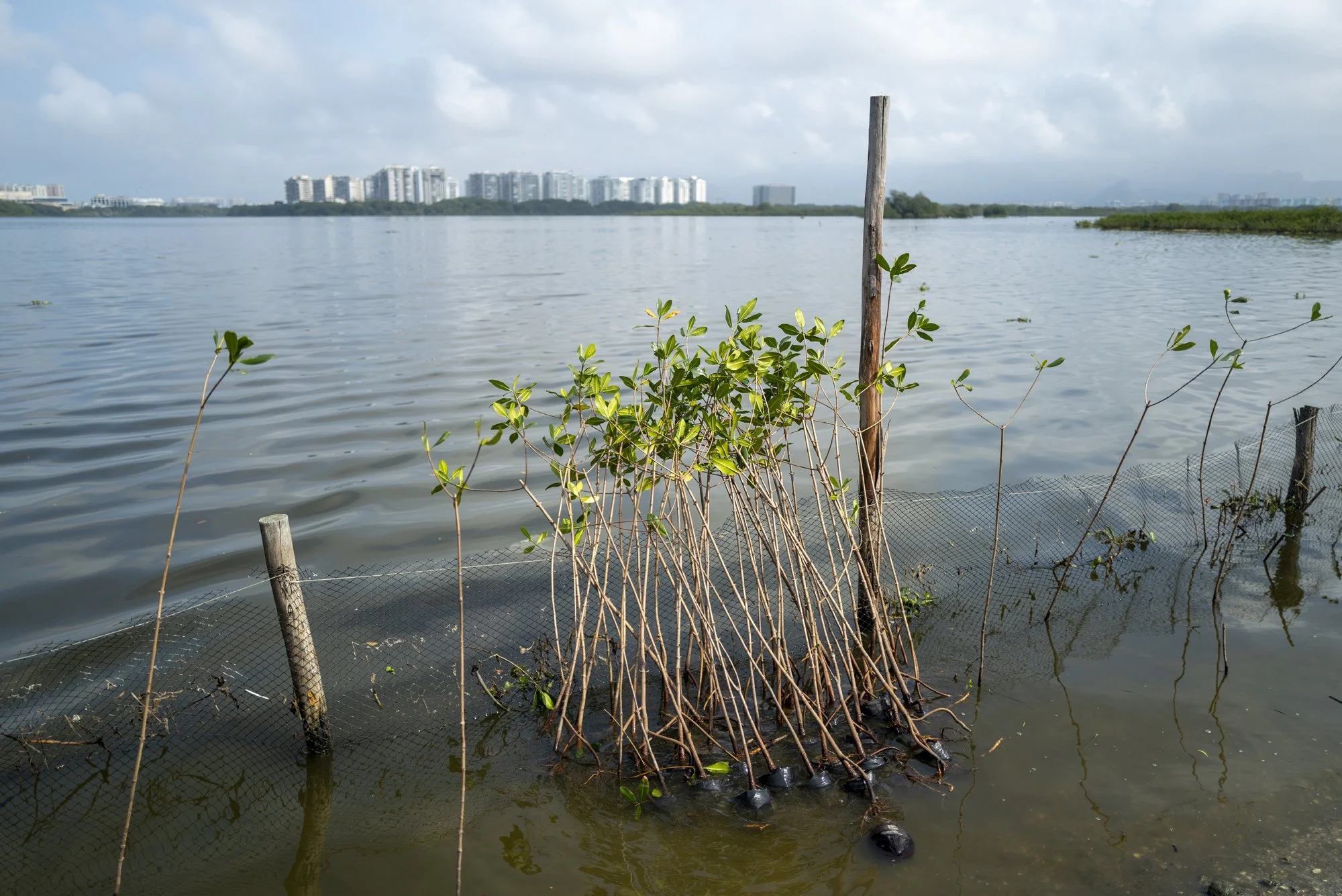 LANDAU_IGUA_RJ_LAGOA_BARRA_AGO26_10.jpg