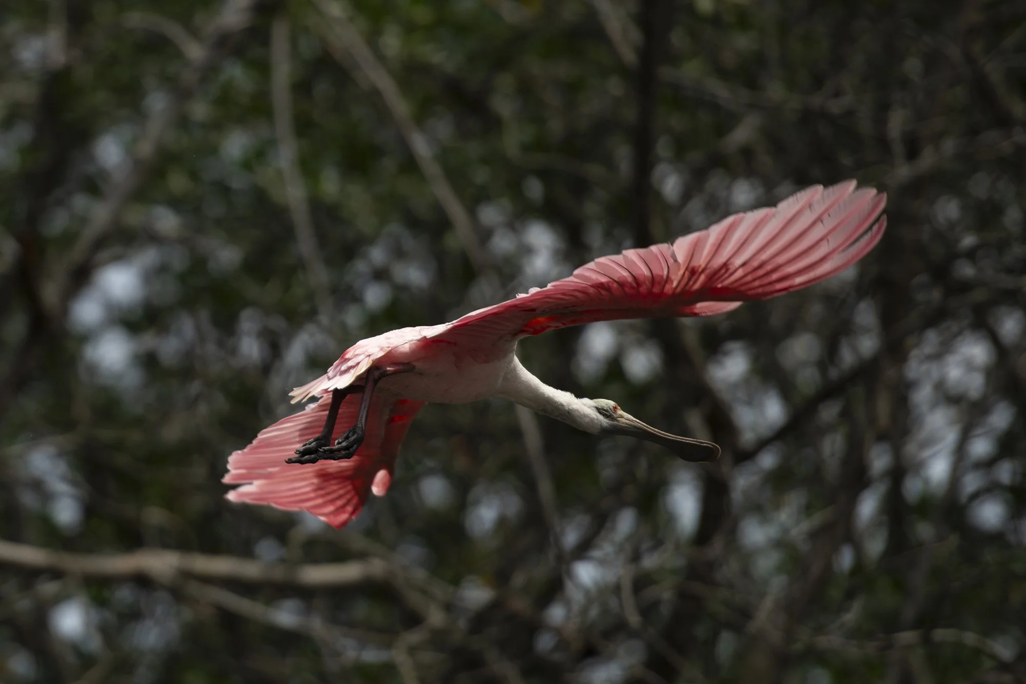 LANDAU_IGUA_RJ_LAGOA_BARRA_AGO26_64.jpg