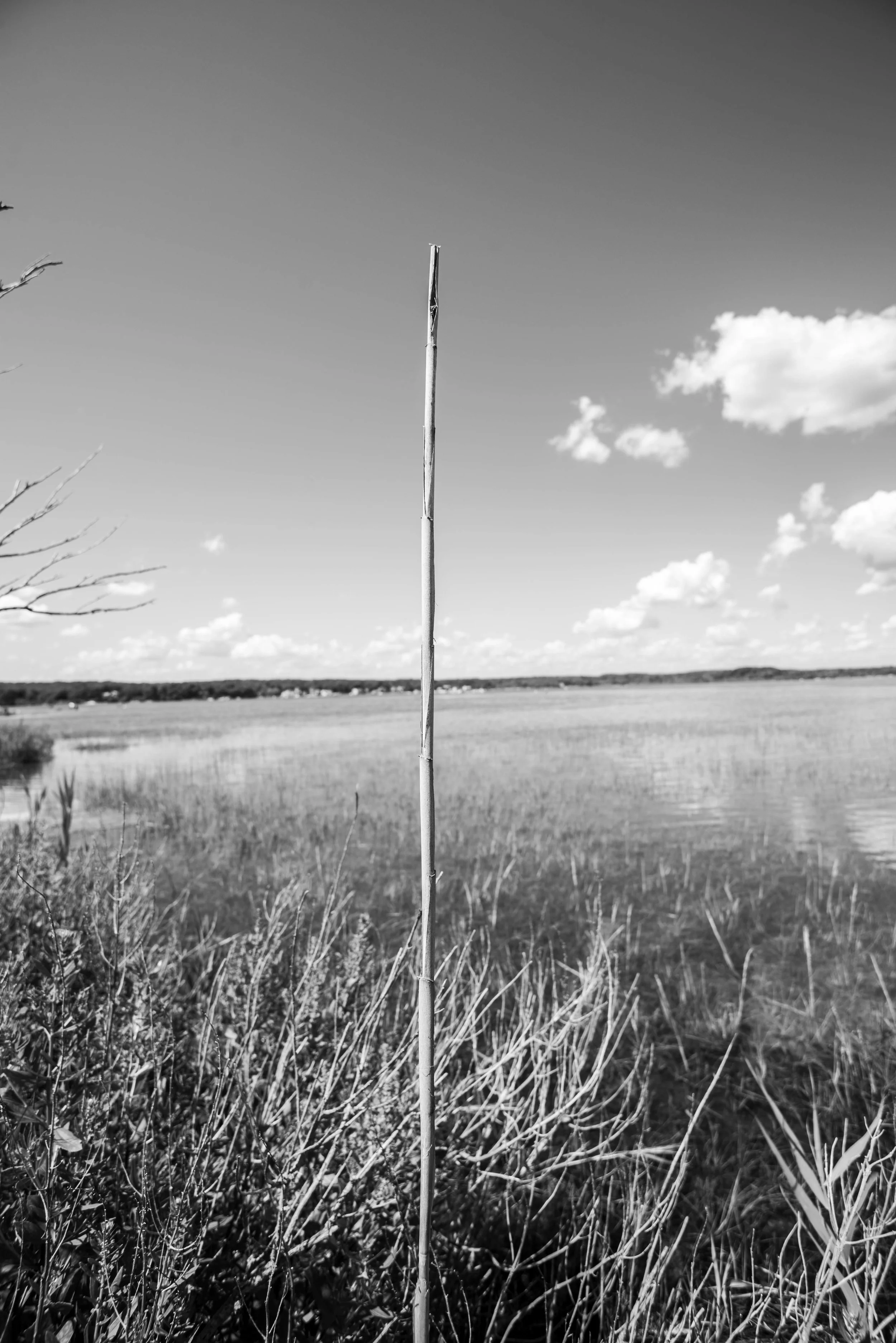 DSC_0050.jpg