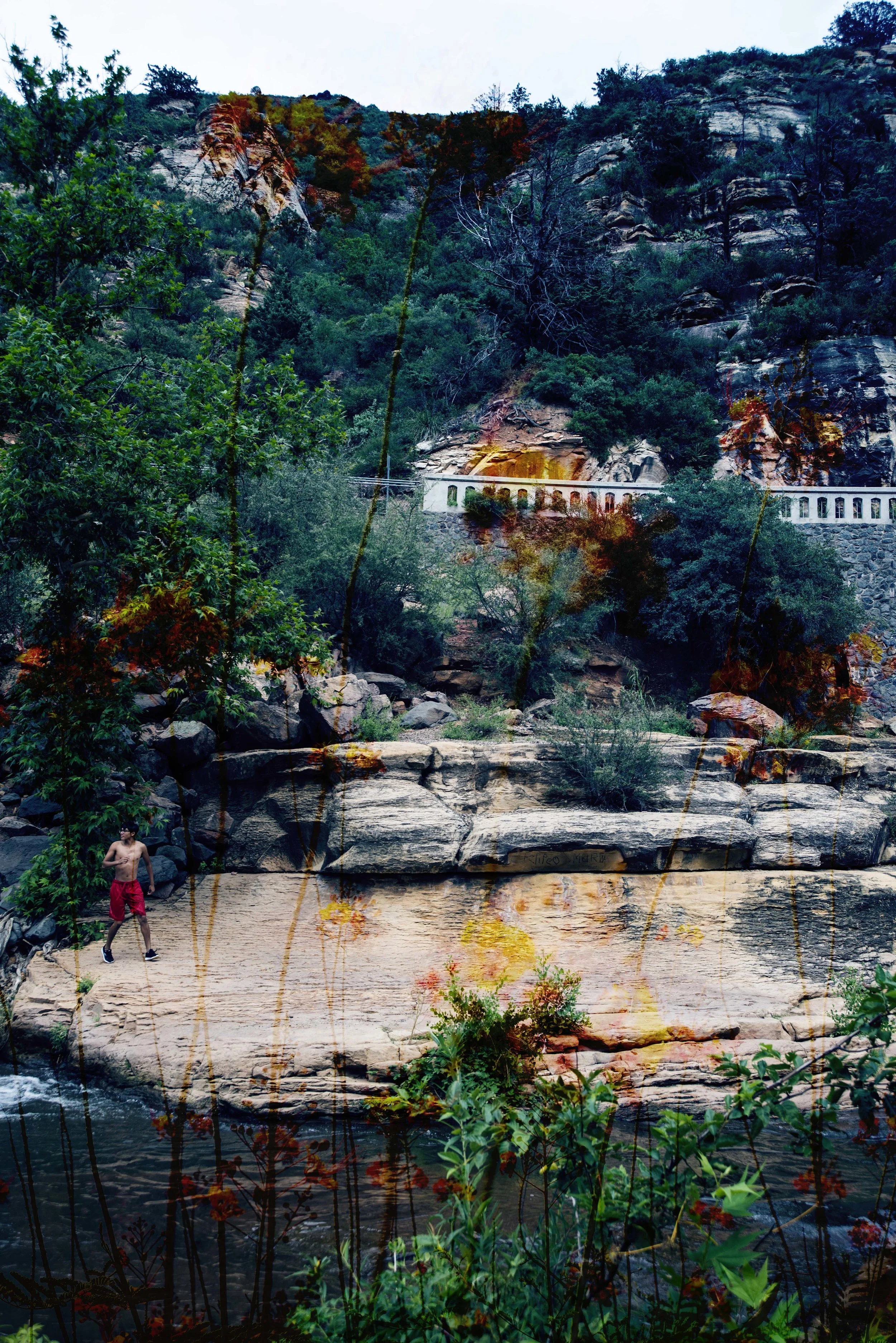 DSC_1572 copy.jpg