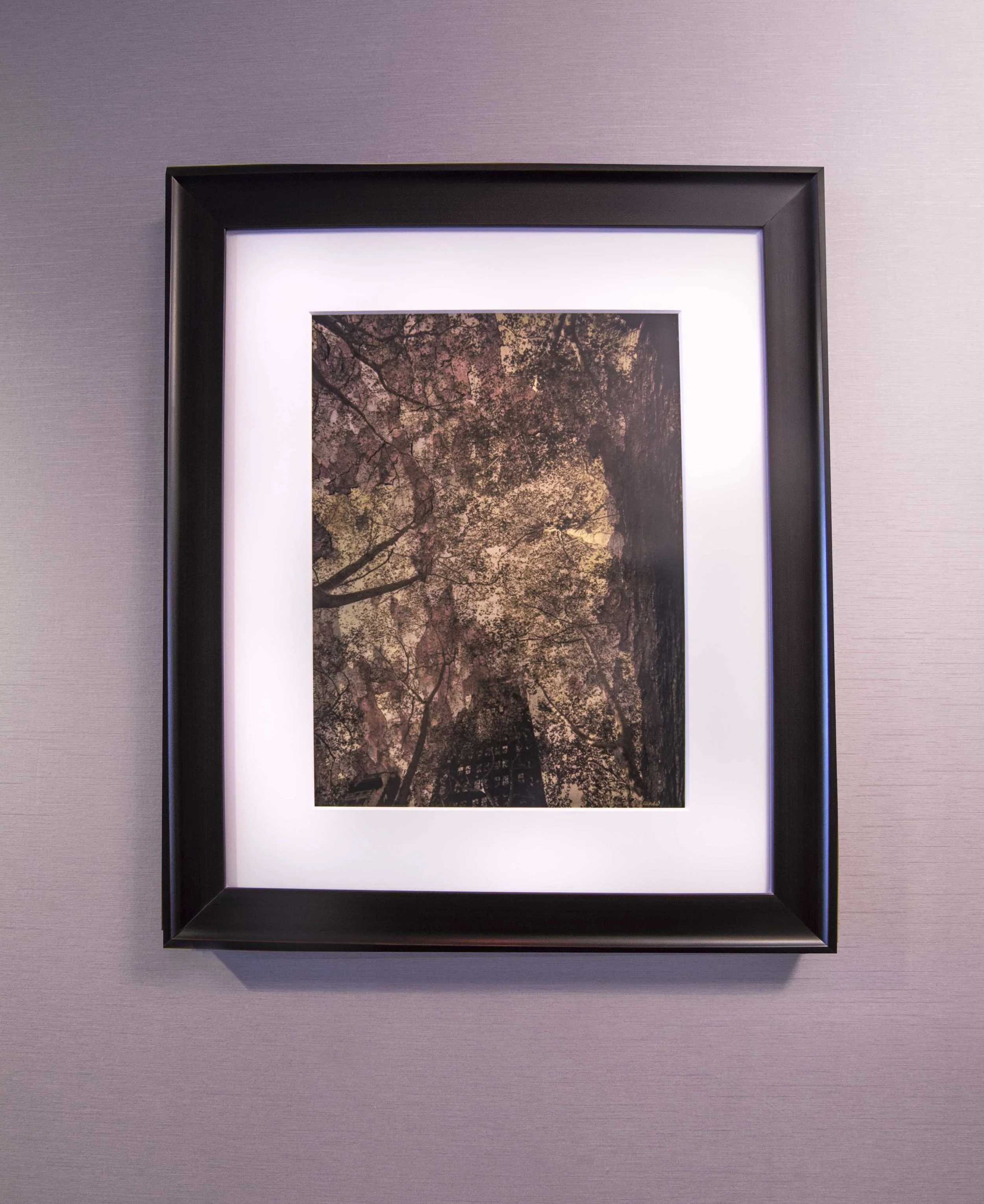 DSC_7417.jpg
