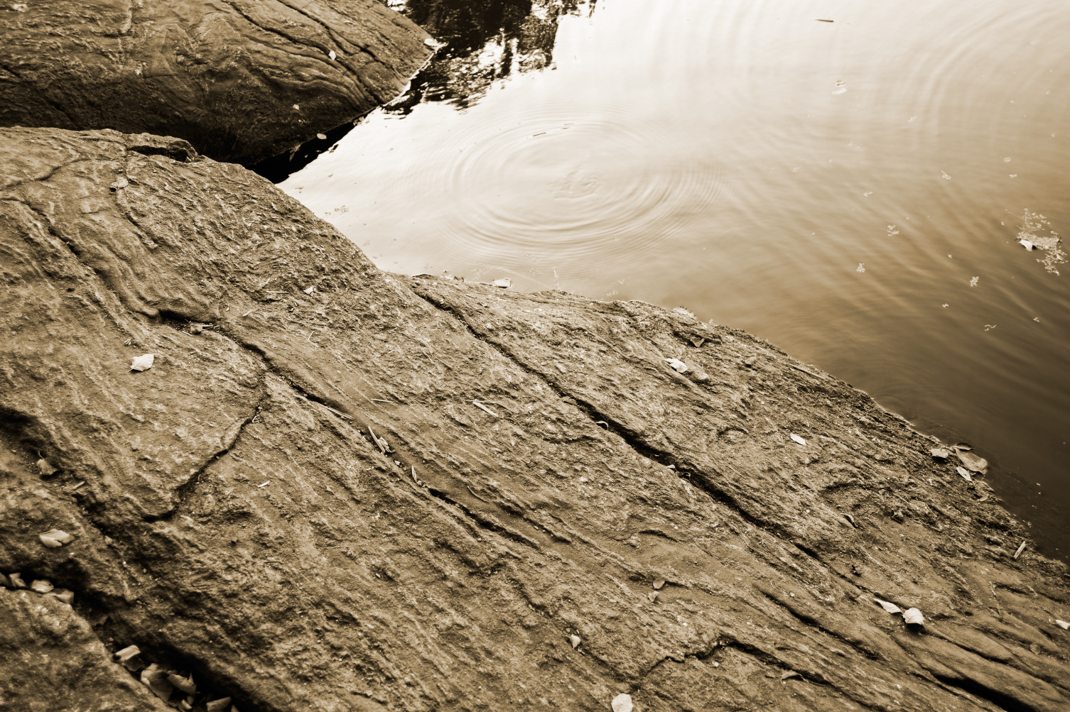 Central Park Rock NYC Photography Purchase Online