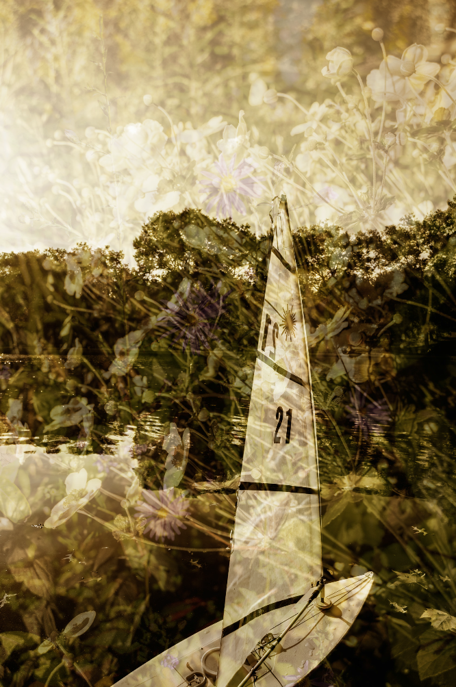 Central Park Sailboats Photography NYC Buy Online