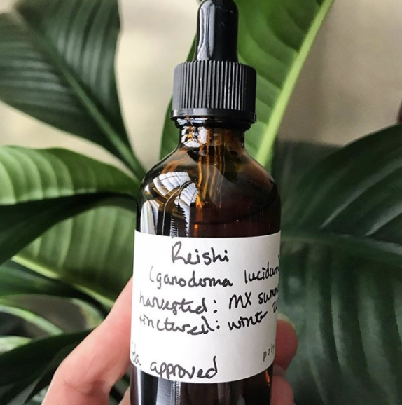 Ep 38: Making Medicinal Tinctures