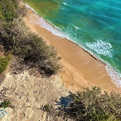 Ep 56: Defining Body Literacy