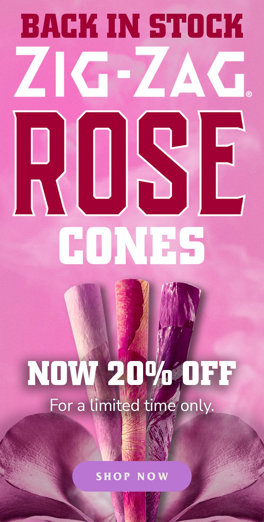 Rose Cones Email B2C 1.jpg