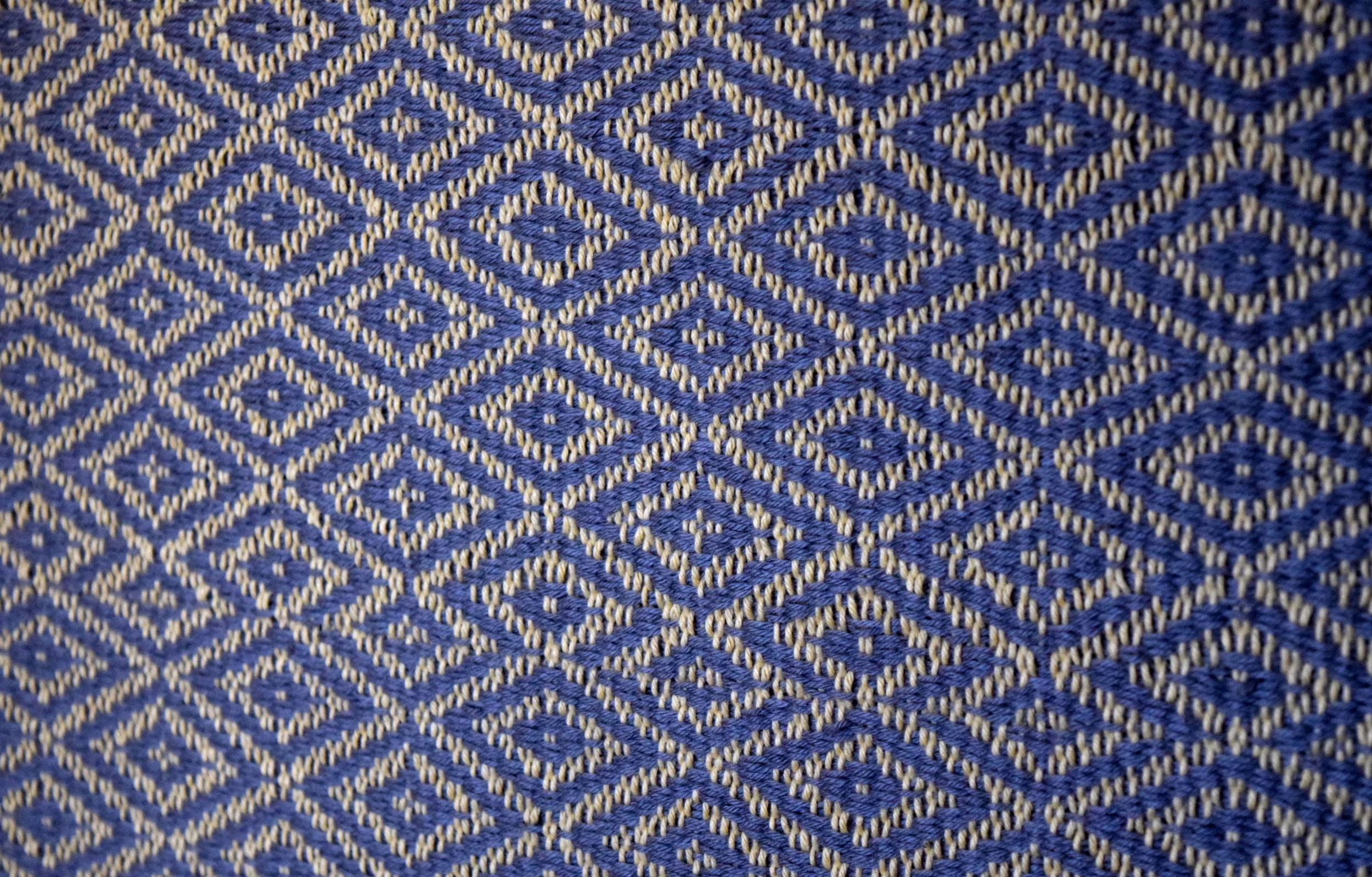 DSC_0769.JPG