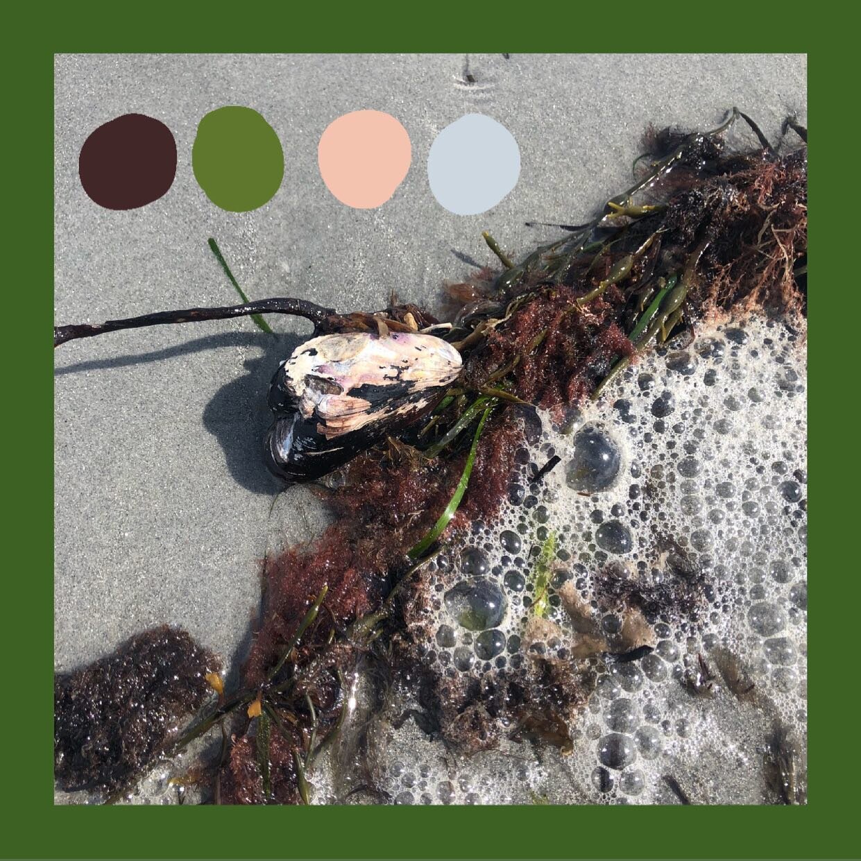 A Goose Rocks Beach color palette