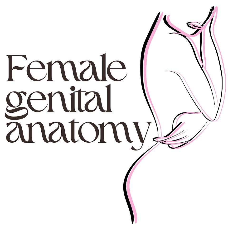 Female genital anatomy encompasses a complex and highly specialized set of structures that play critical roles in reproduction, sexual function, and overall health. Here's an overview of the key components:

Vulva vs Vagina
Labia Majora
Labia Minora
