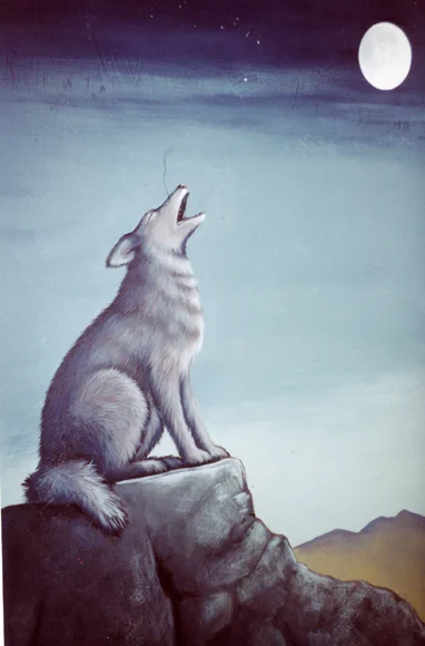 animal_15.jpg