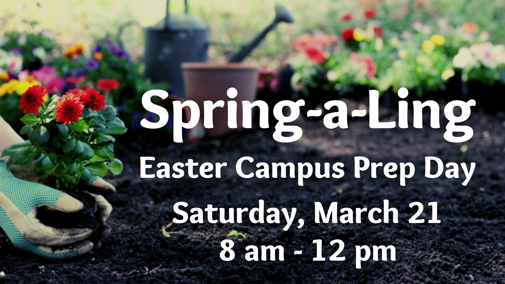 FPCA Campus Workday.png