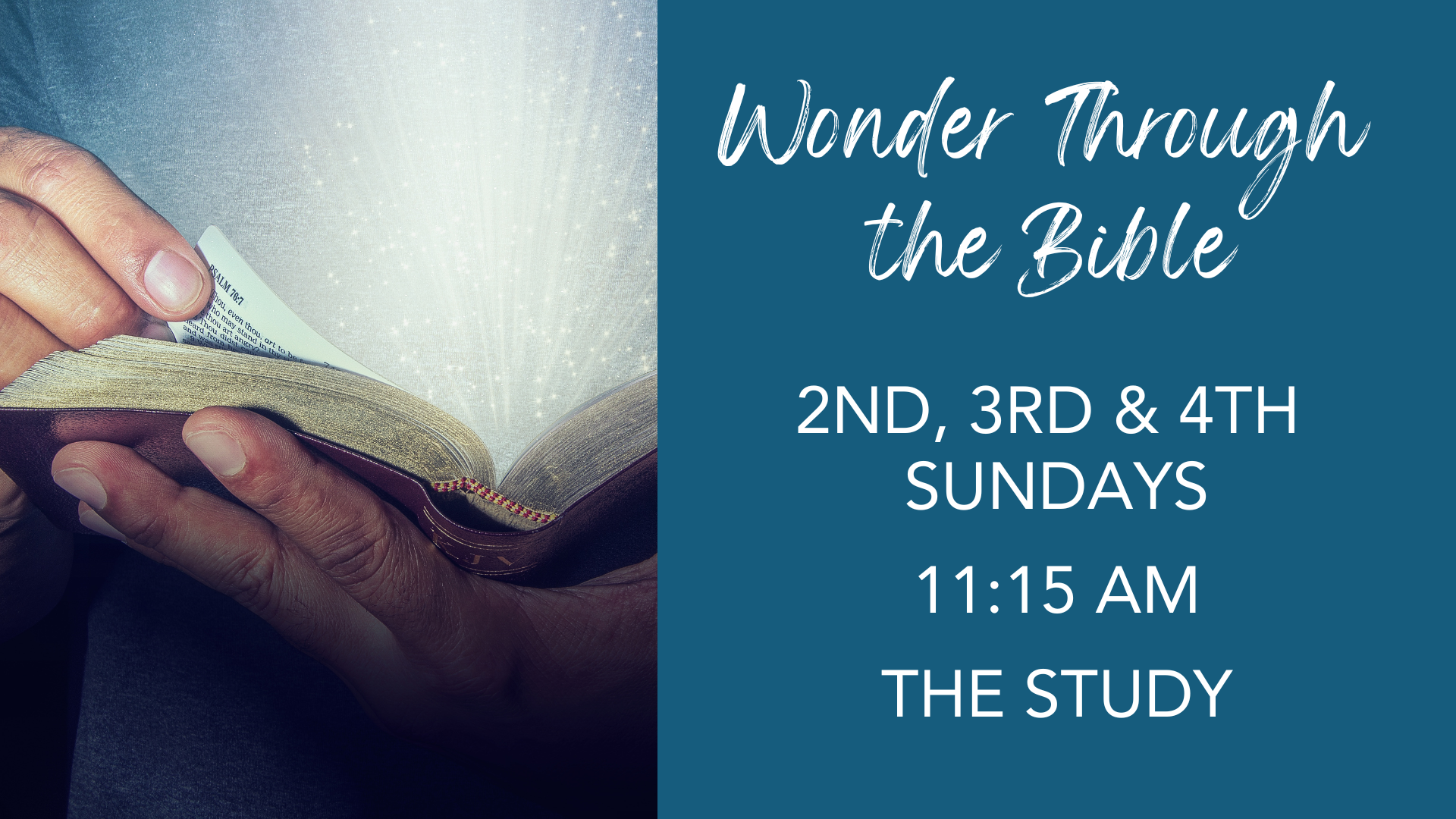 Wonder Through the Bible (1).png