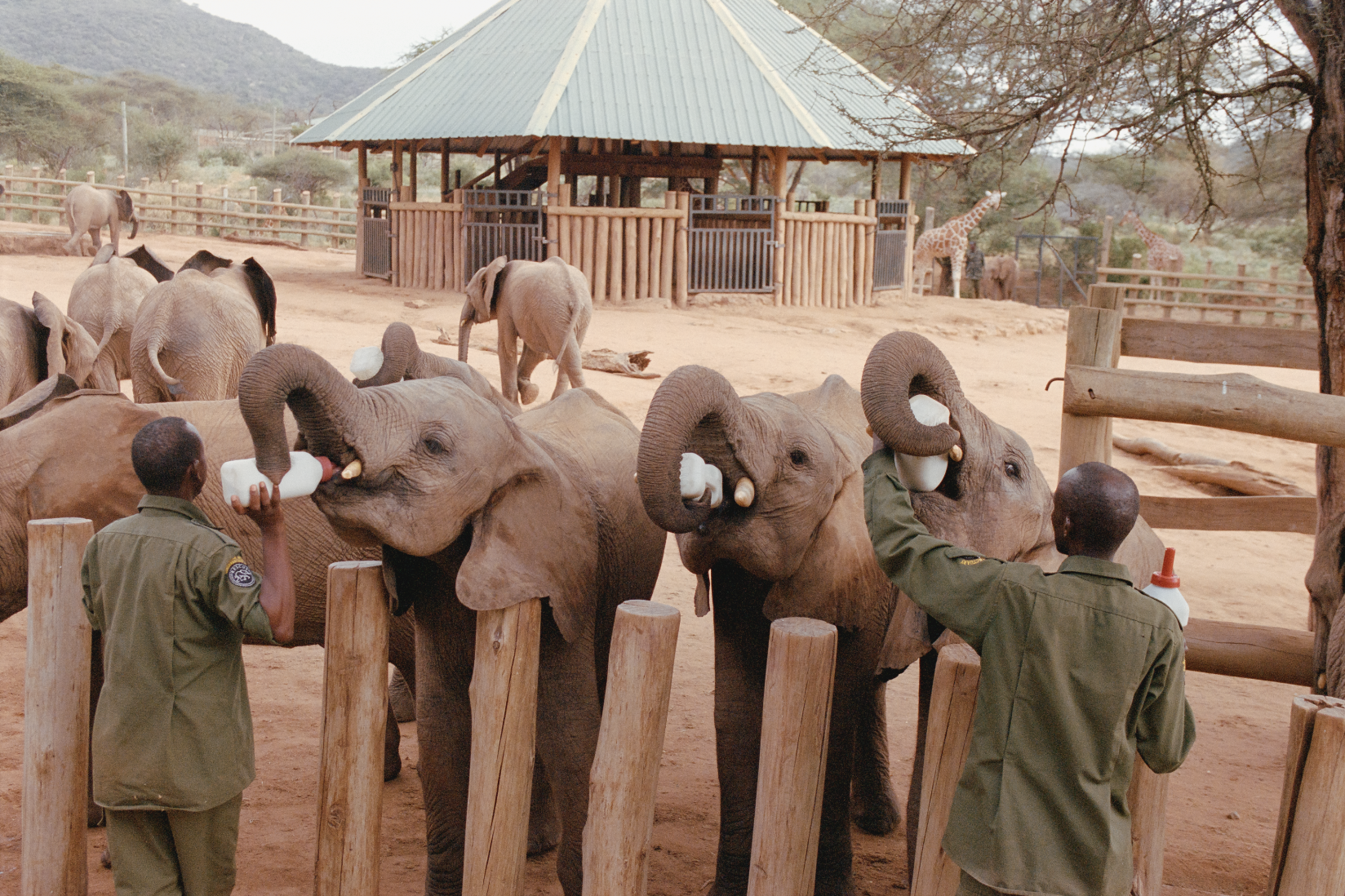 Screenshot 2026-01-26 at 9.43.17 AM.png