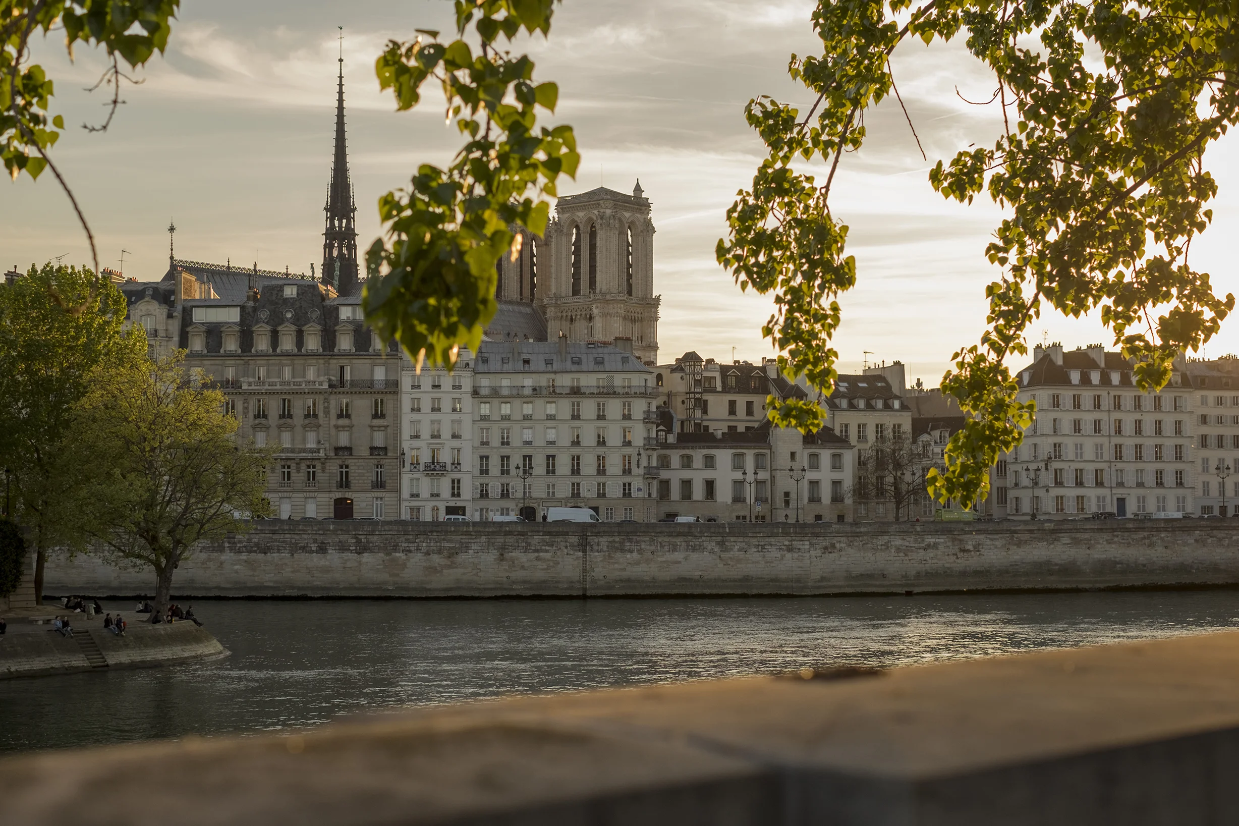 Seine1_sm.jpg
