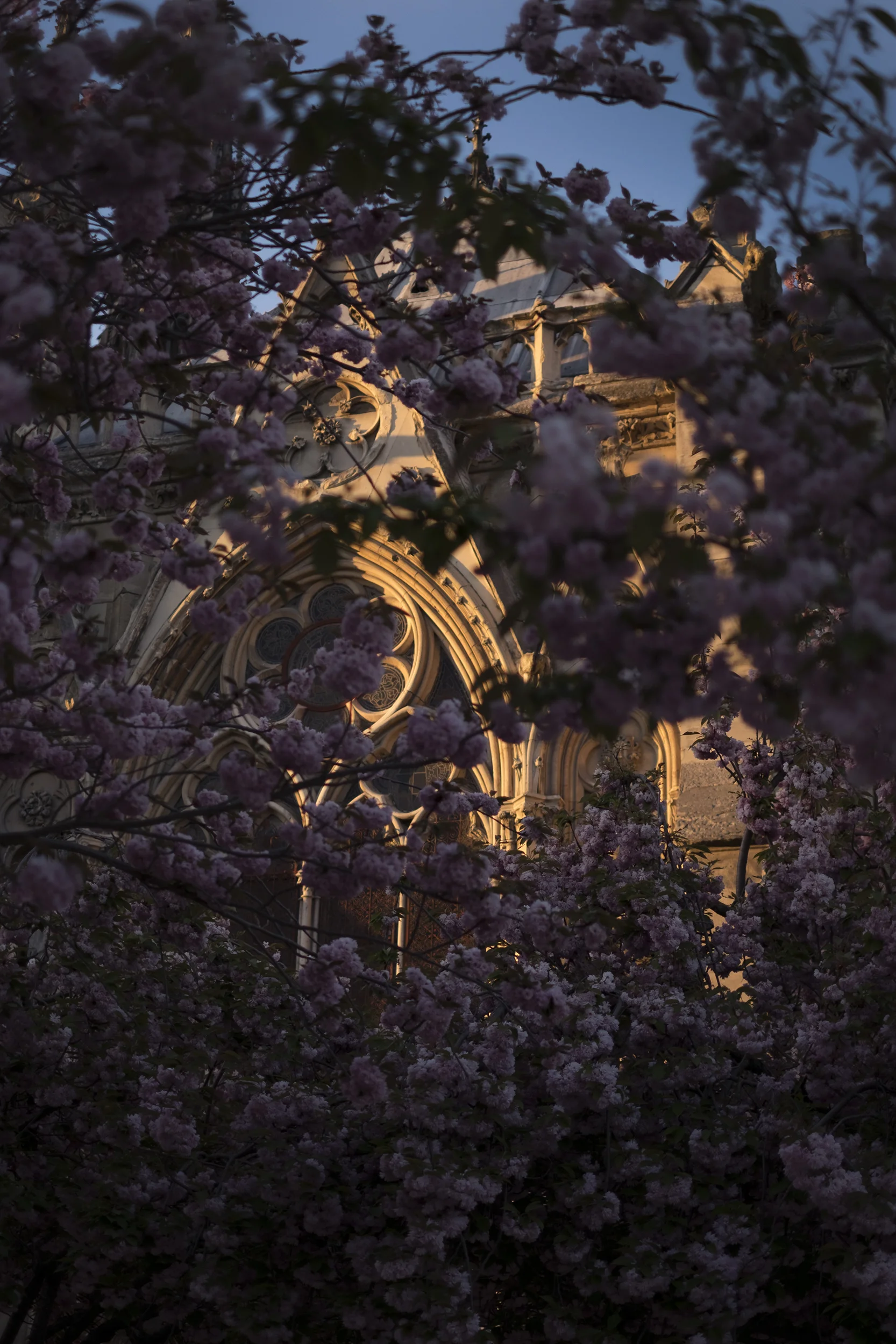 NotreDame1_sm.jpg