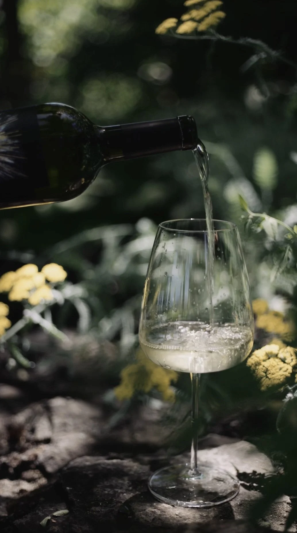 Faust Sav Blanc