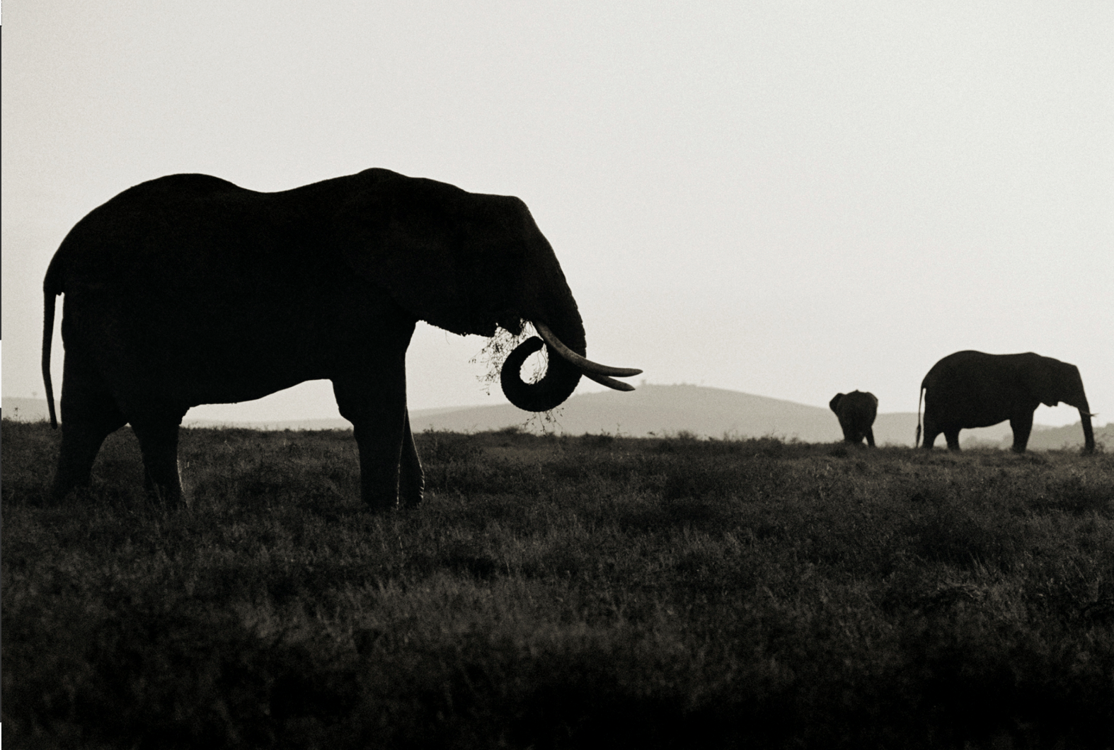 Screenshot 2026-04-06 at 3.53.12 PM.png