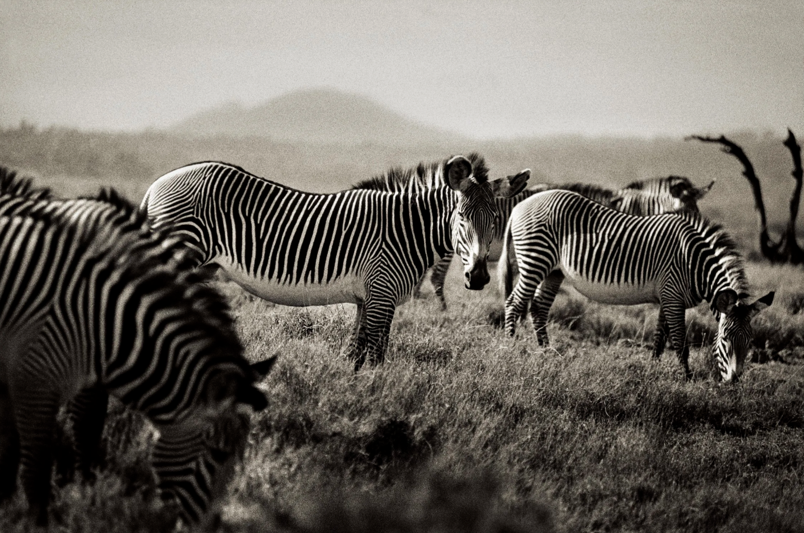 Screenshot 2026-01-28 at 4.54.27 PM.png