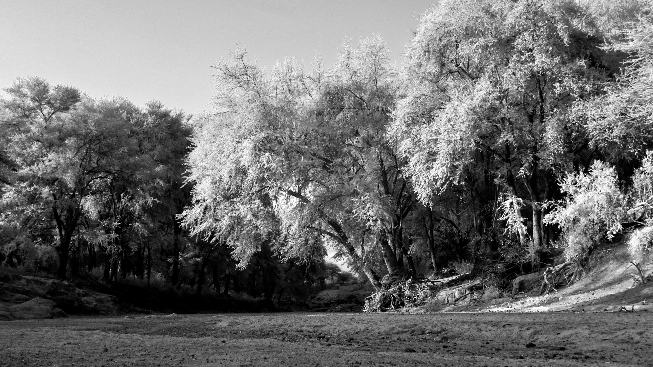 _DSC1907.JPG