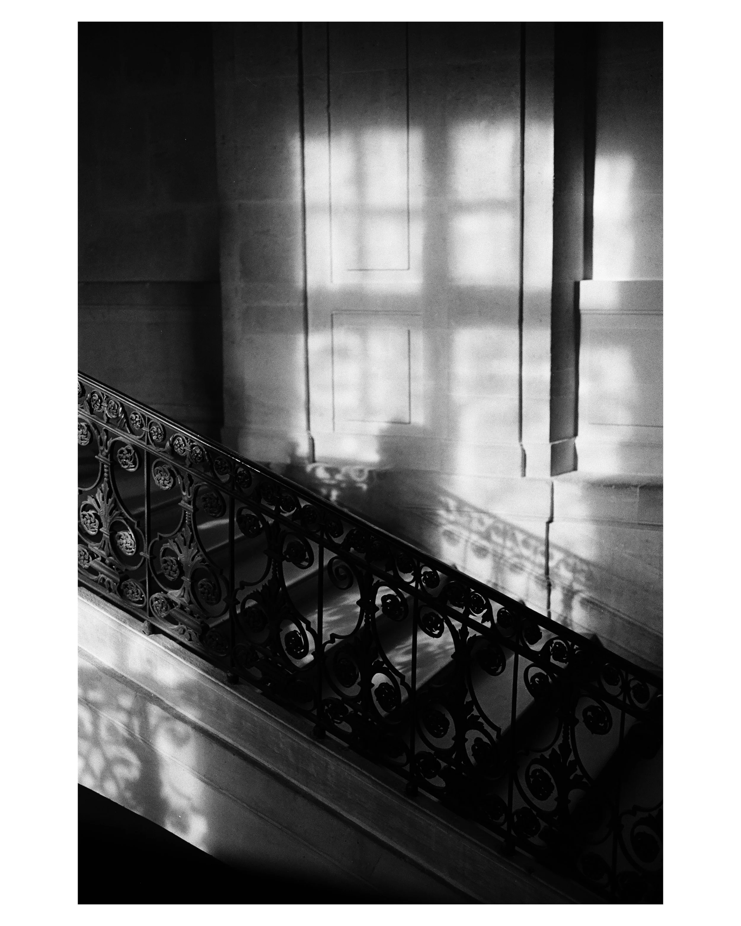 In Search of Picasso copy.jpg