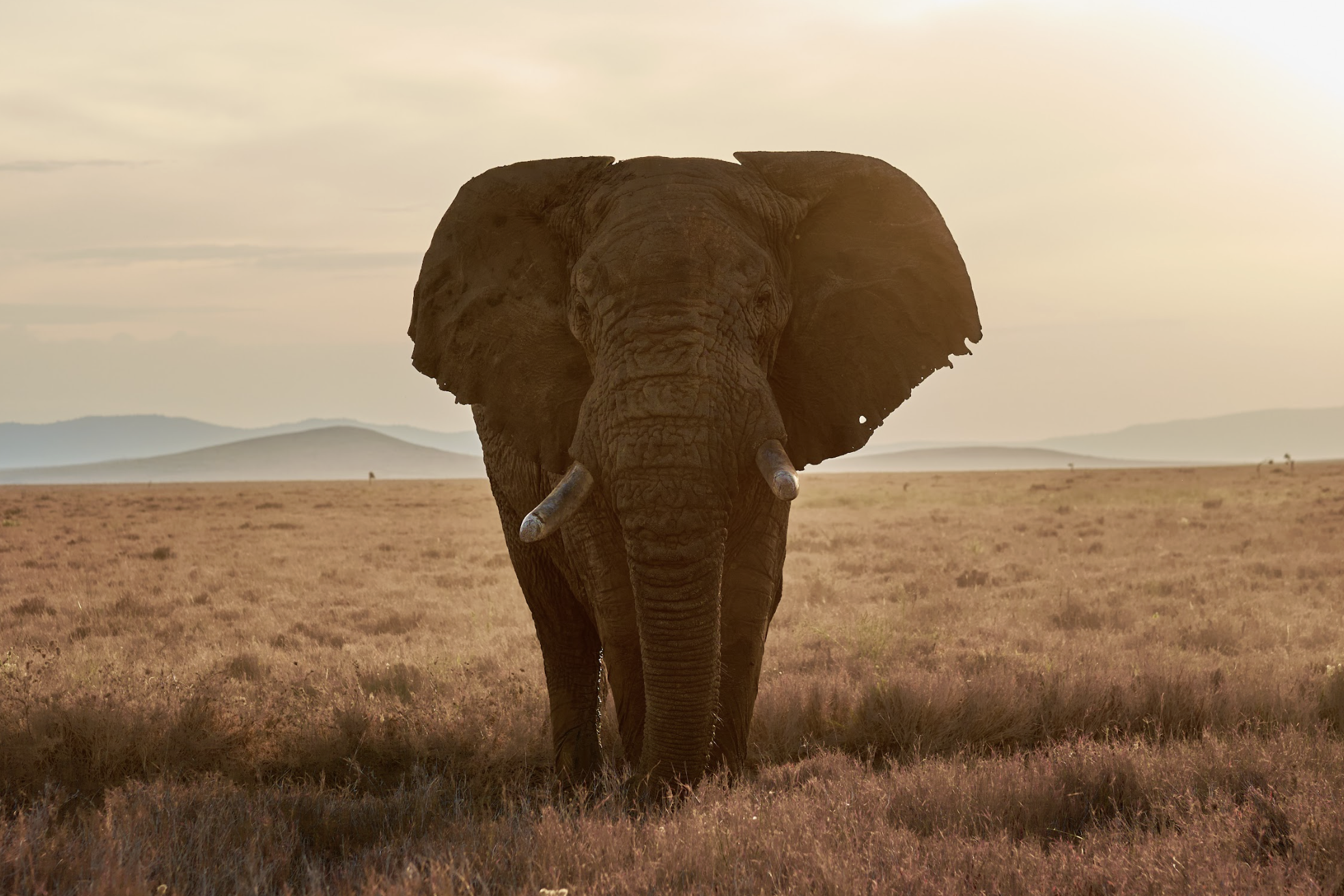 Screenshot 2026-01-26 at 10.00.45 AM.png