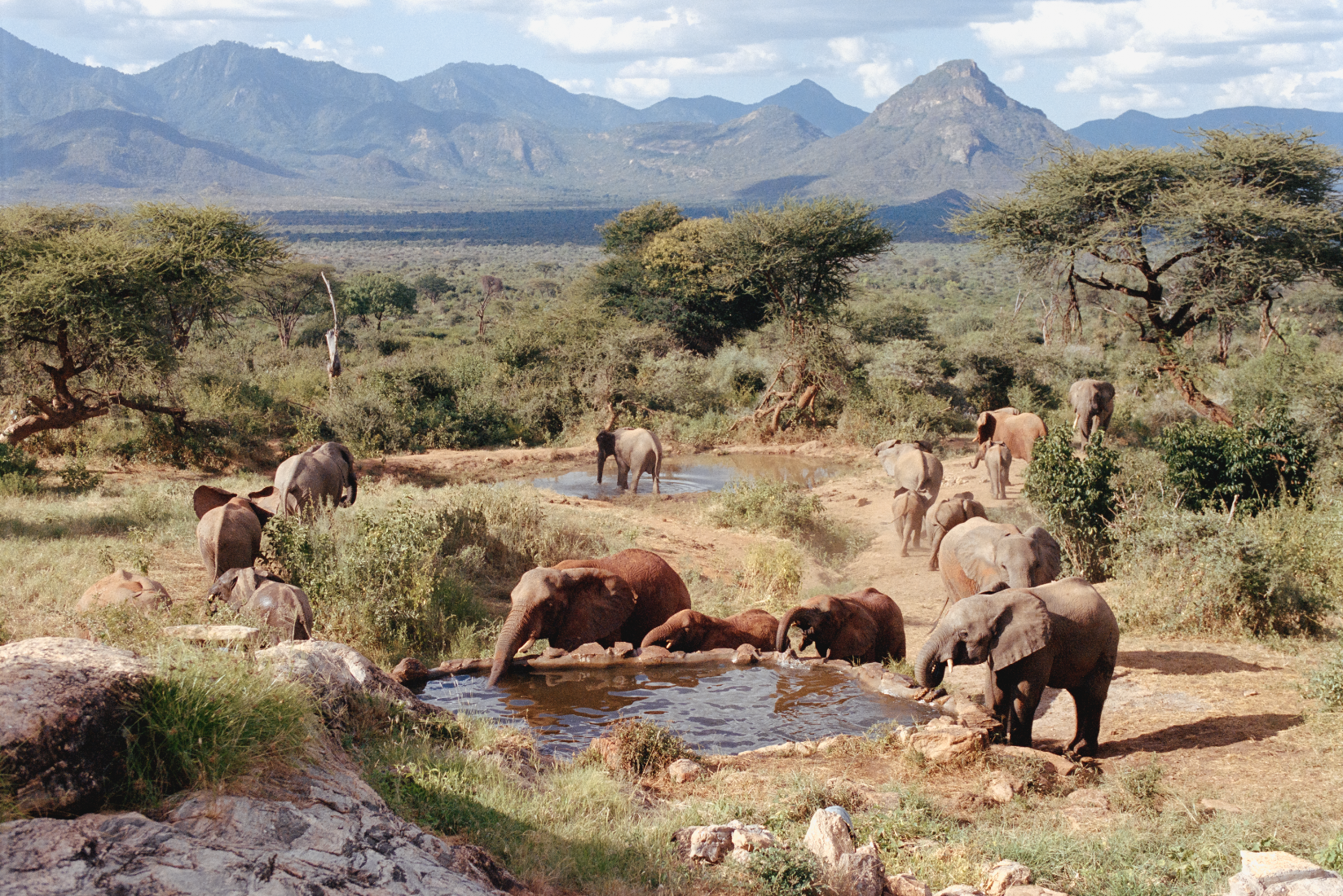 Screenshot 2026-01-26 at 9.42.58 AM.png