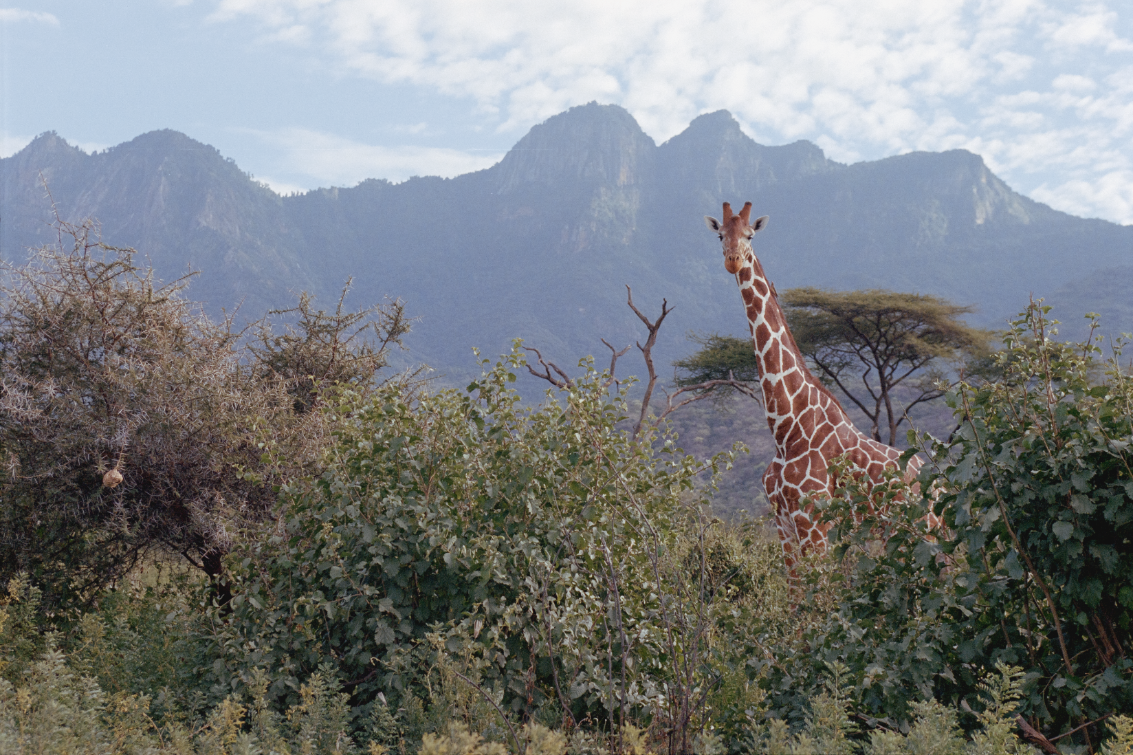 Screenshot 2026-01-26 at 9.42.22 AM.png