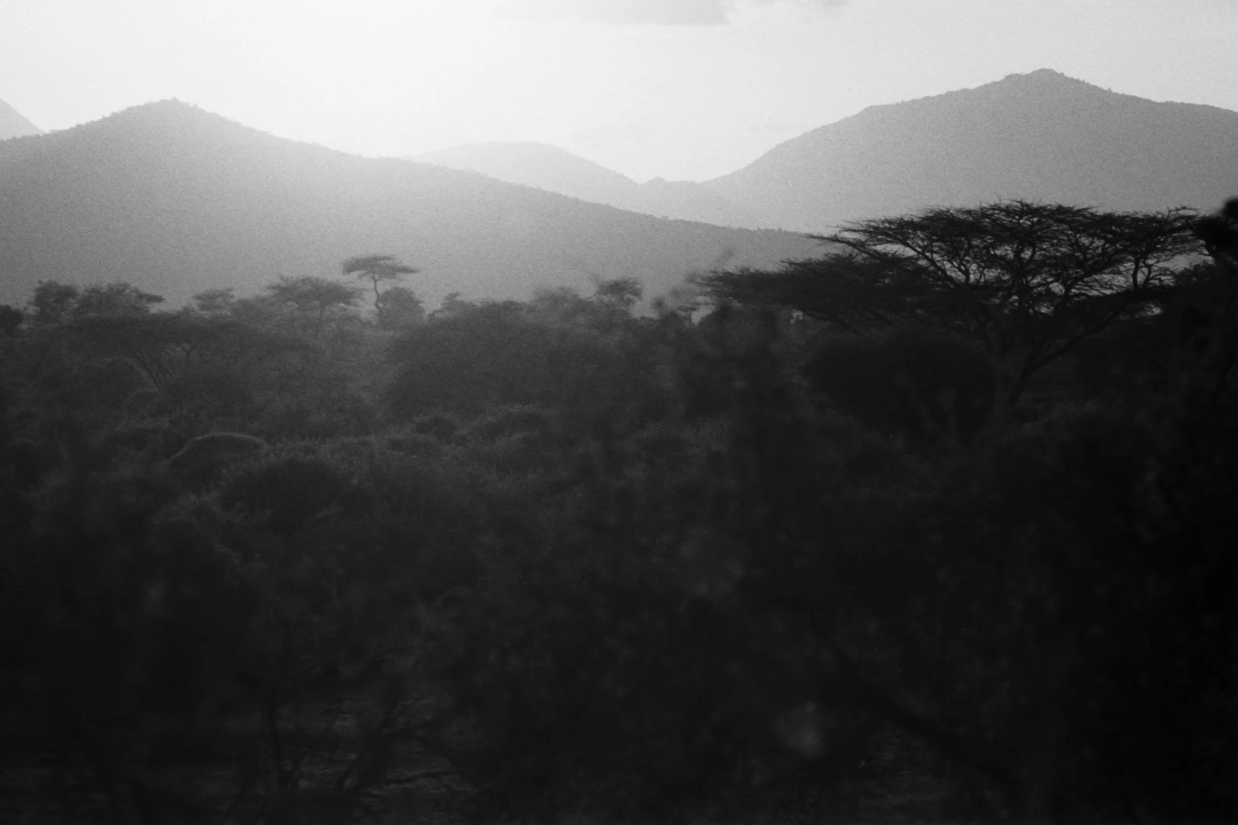 Landscape3.jpg