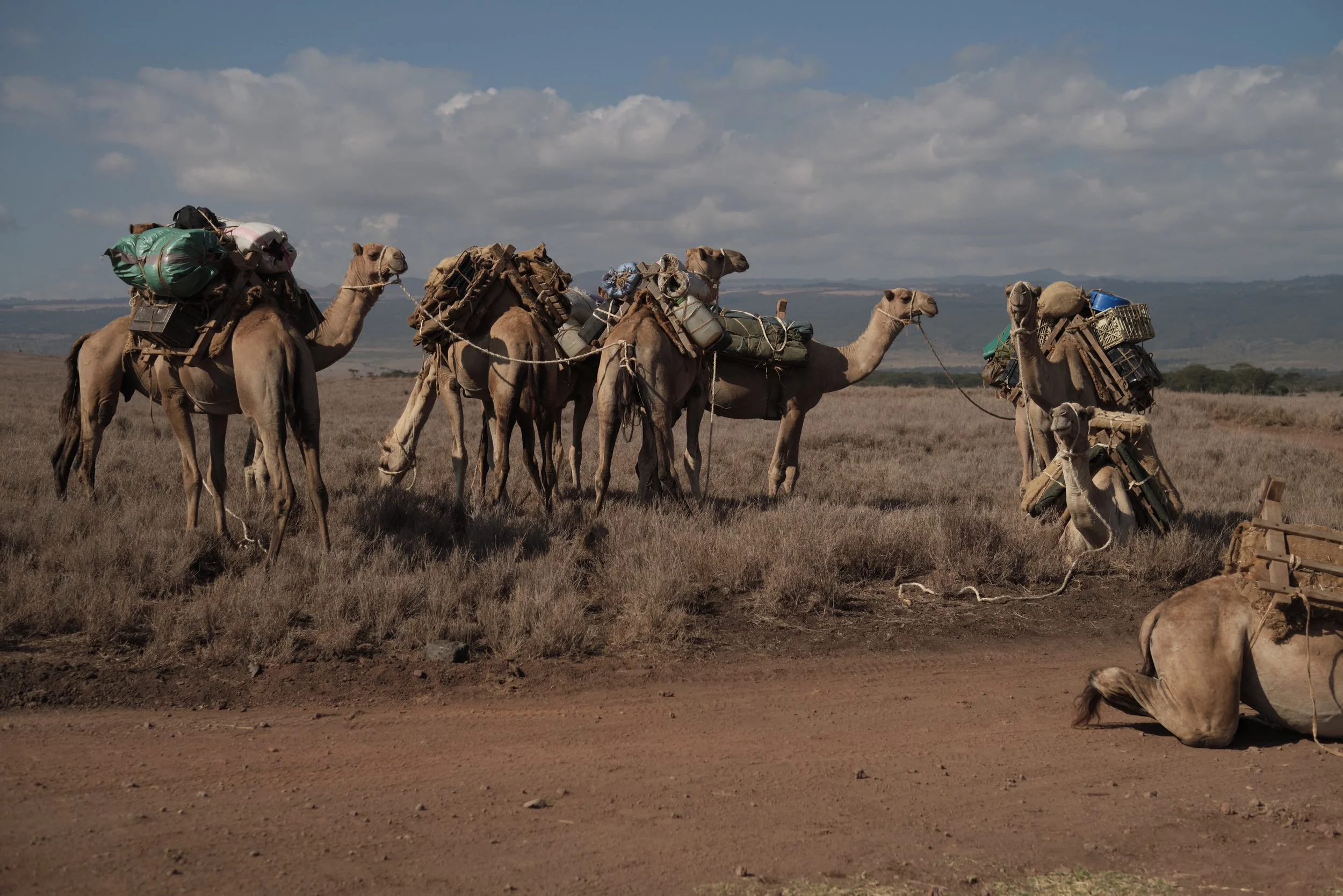 Kenya 21 exports 0.jpeg