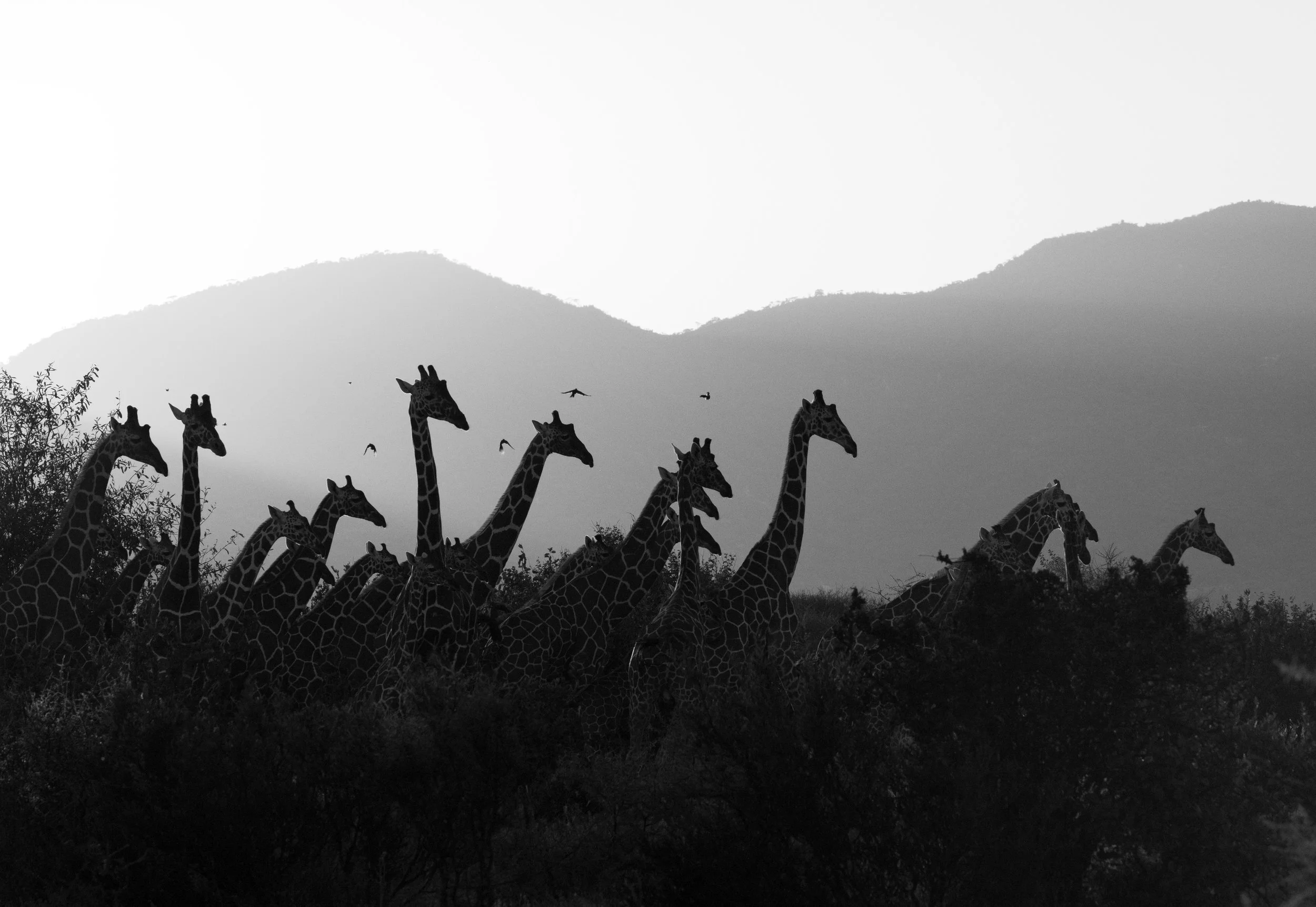 DSC_1405-Recovered copy.jpg