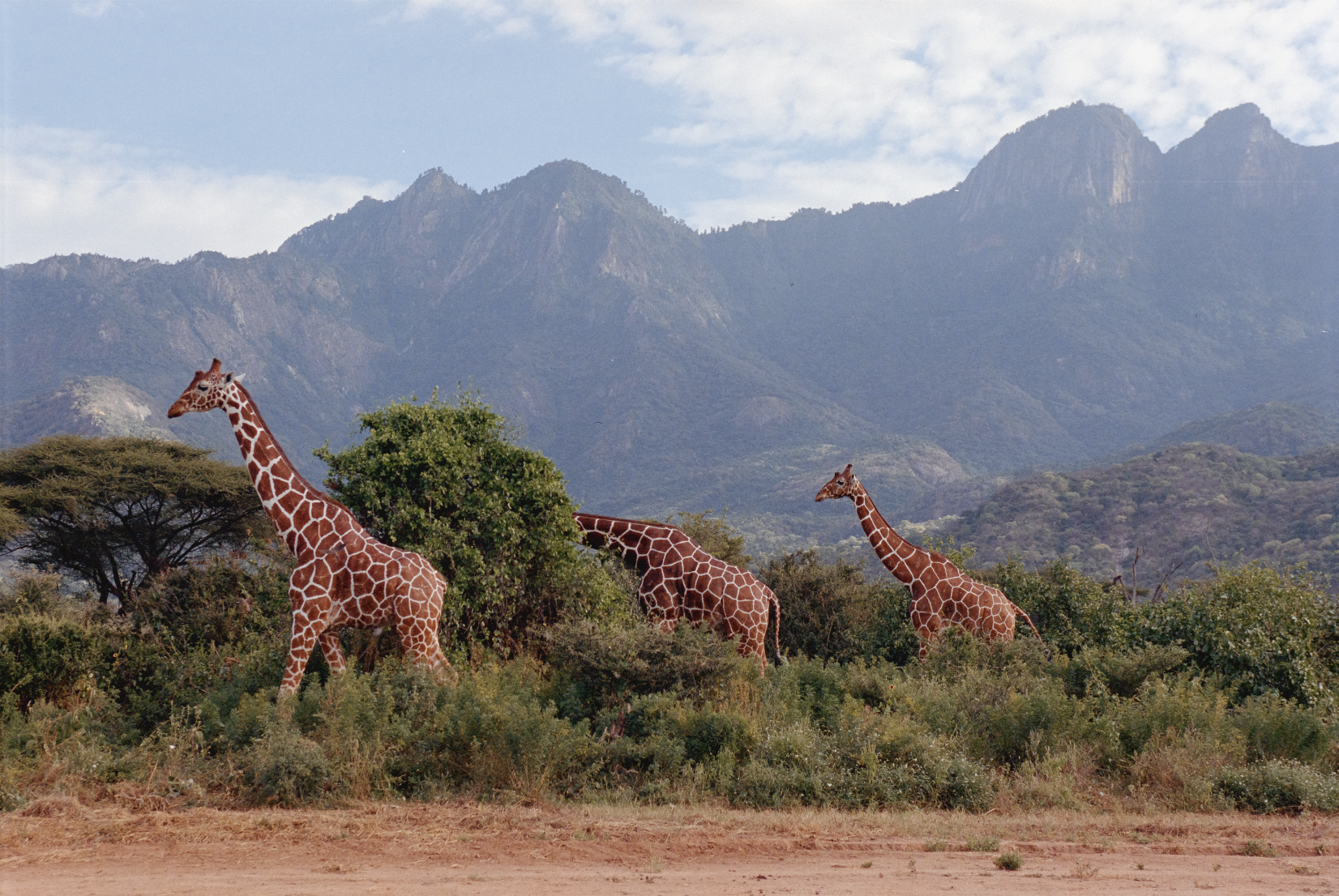 Screenshot 2026-01-26 at 9.42.07 AM.png