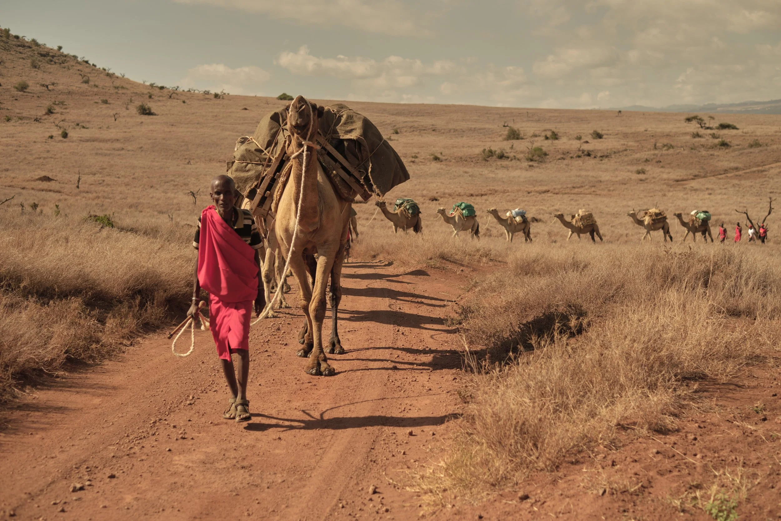 Kenya 21 exports 6.jpeg