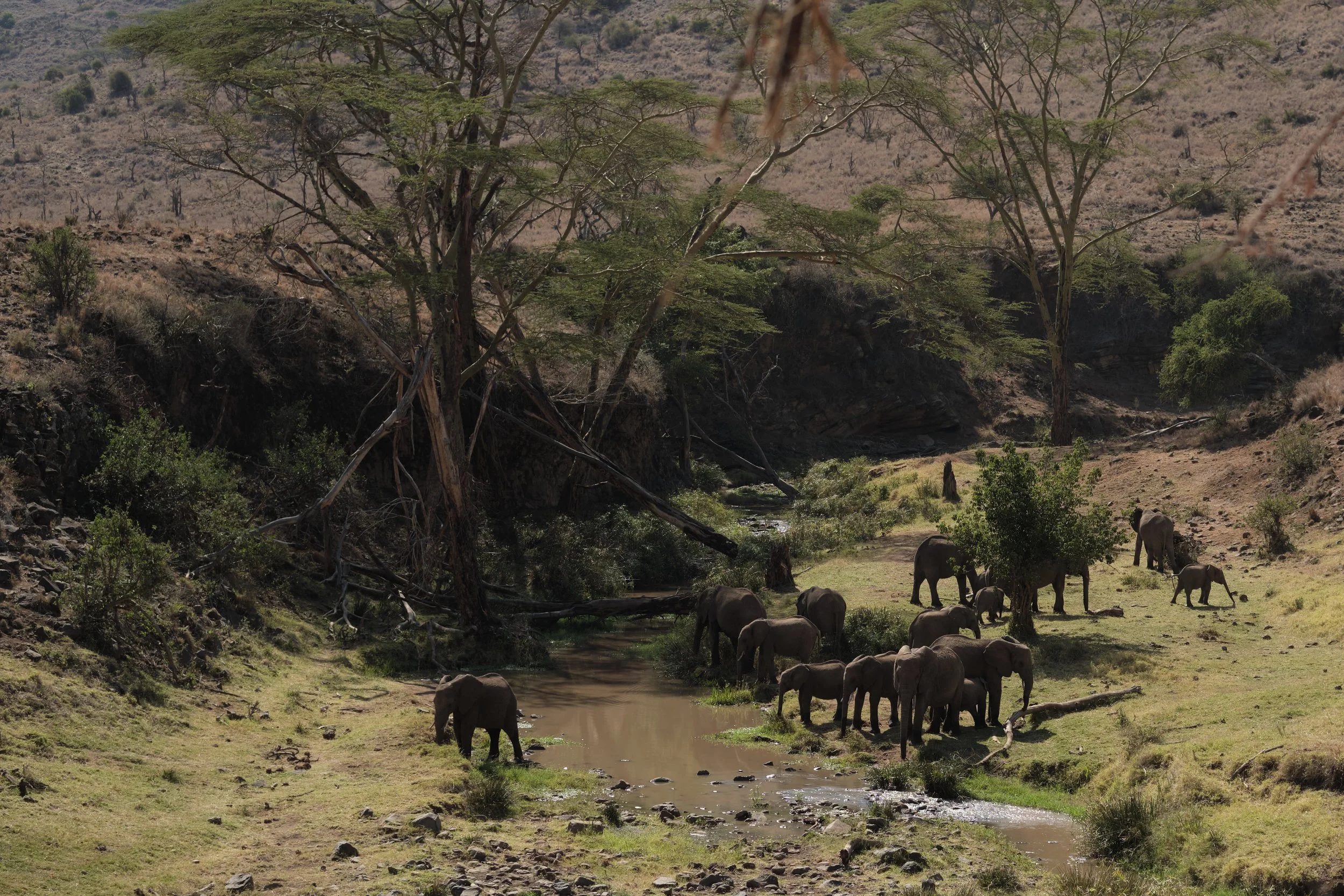 Kenya 21 exports 158.jpeg