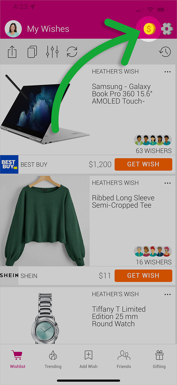 Share Pay Link 1